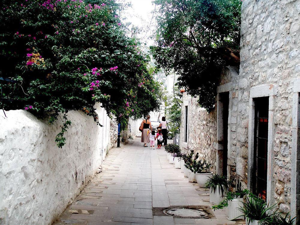 Auberge de jeunesse Denizati Pension à Bodrum Extérieur photo